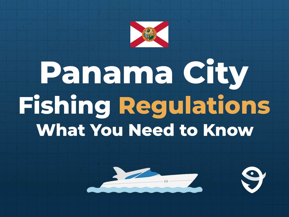 An infographic featuring the flag of Florida, a vector of a boat, and the FishingBooker logo, along with text stating 