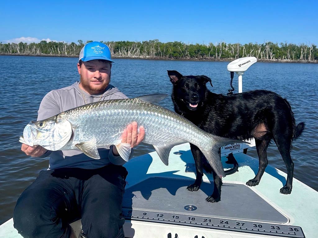 A man in a blue baseball cap sits on the bow of an inshore fishing charter holding a Tarpon, as a black dog poses next to him looking towards the camera on a clear day