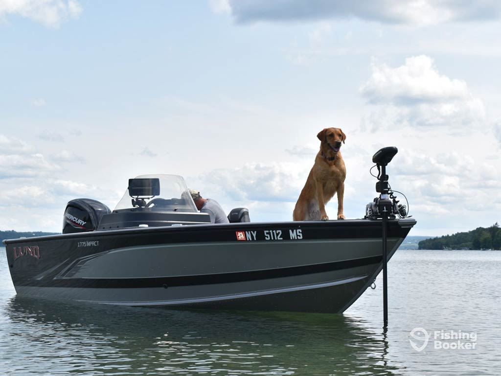 A dog peers out over the bow of a fishing boat next to a trolling motor in some inshore waters on a relatively clear day