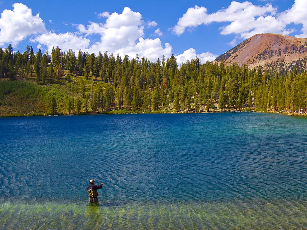 A view of Lake George in Nevada on a clear summer's day, with crystal clear waters in the foreground and trees on an otherwise barren shoreline in the distance, along with an angler wading and fishing in the water