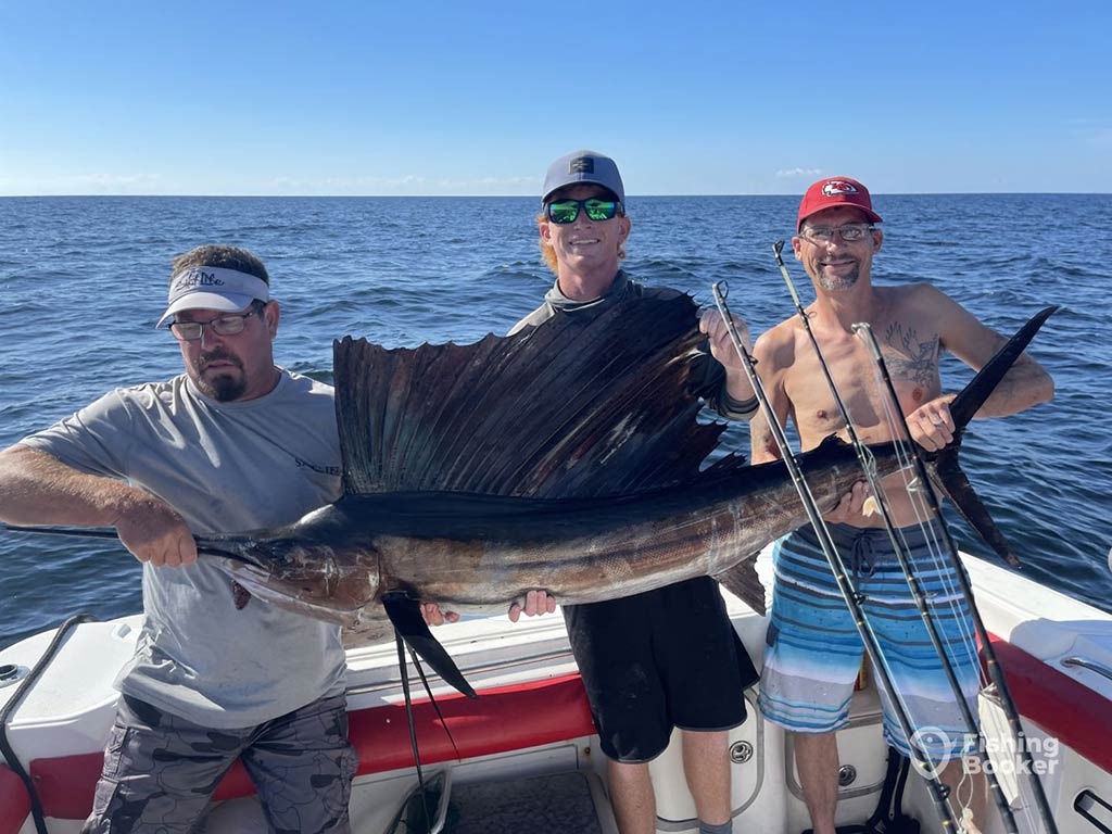 Three men standing on the deck of a fishing boat out of Panama City on a clear day and holding a large Sailfish